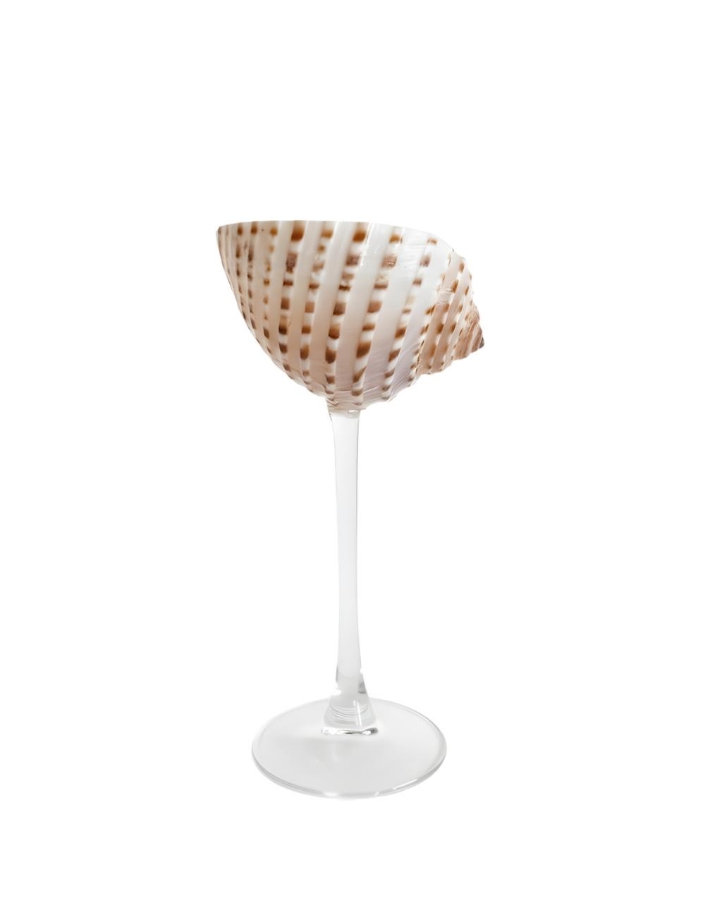 Brown & White Seashell Glass With Clear Stem 10 CL x 2 - Compare prices in UAE