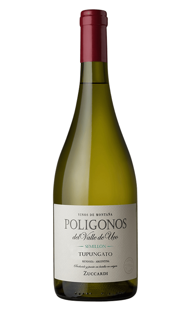 Zuccardi Poligonos Semillon