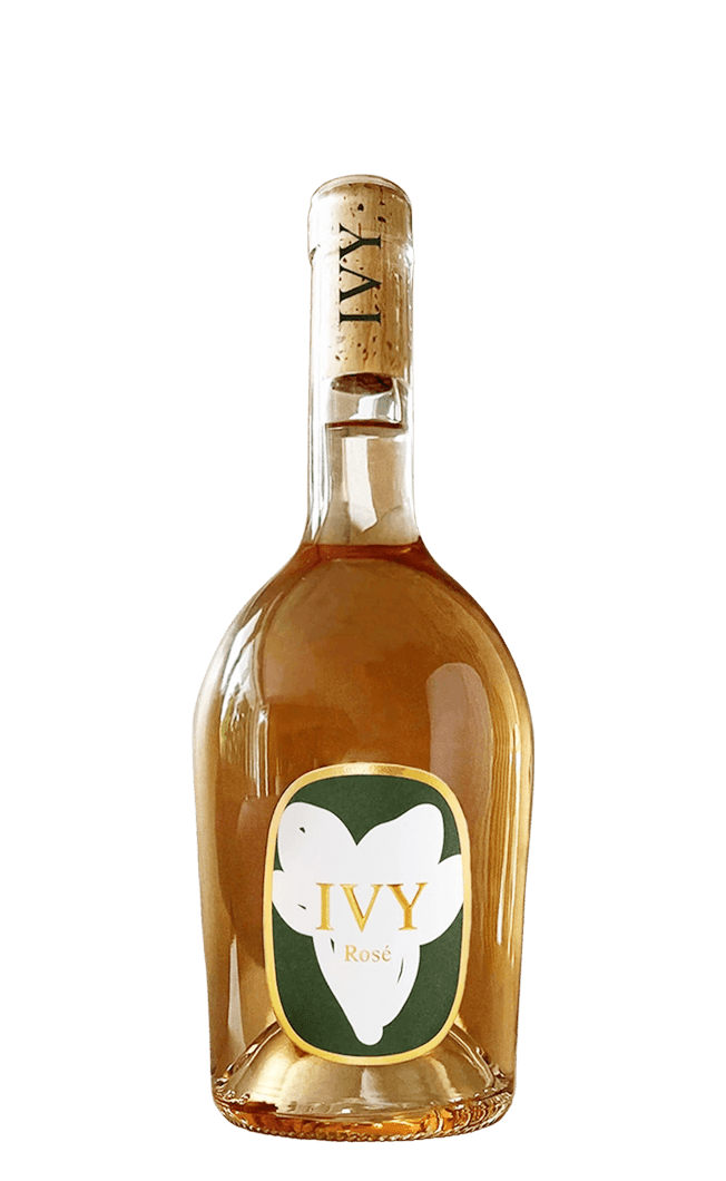 Dreissigacker Ivy Rose - Compare prices in UAE