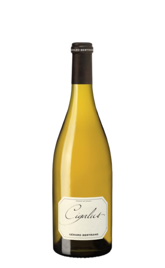 Gerard Bertrand Gerard Bertrand Fitou 75CL - Compare prices in UAE