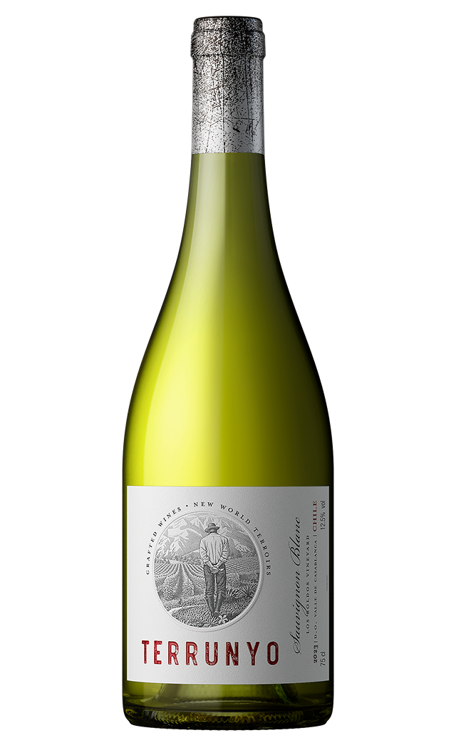 Terrunyo Terrunyo Sauvignon Blanc 75CL by terrunyo - Compare prices in UAE