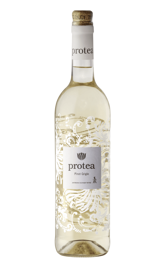 PROTEA PINOT GRIGIO