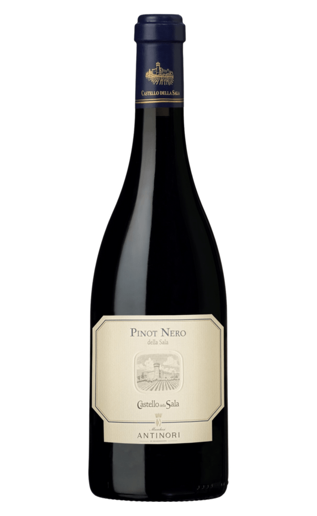 Antinori Castello Della Sala Pinot Nero 2021 by Antinori - Compare prices in UAE