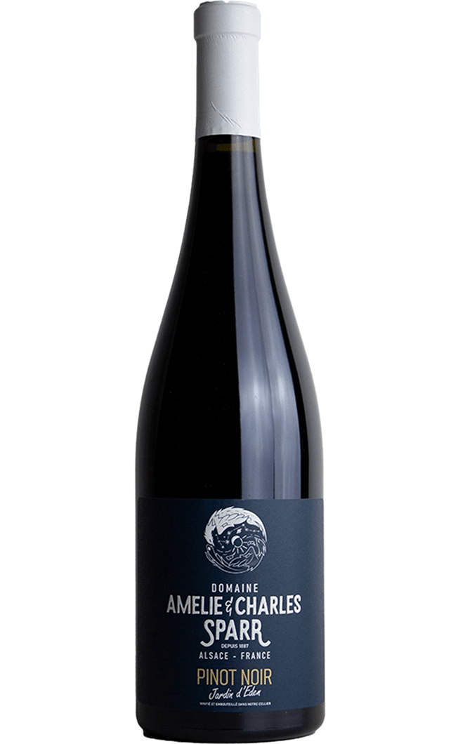 Amour Interdit Pinot Noir Charles Sparr 2021 75CL - Compare prices in UAE