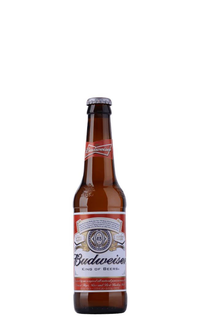 Budweiser Bottle 24 x 33CL - Compare prices in UAE