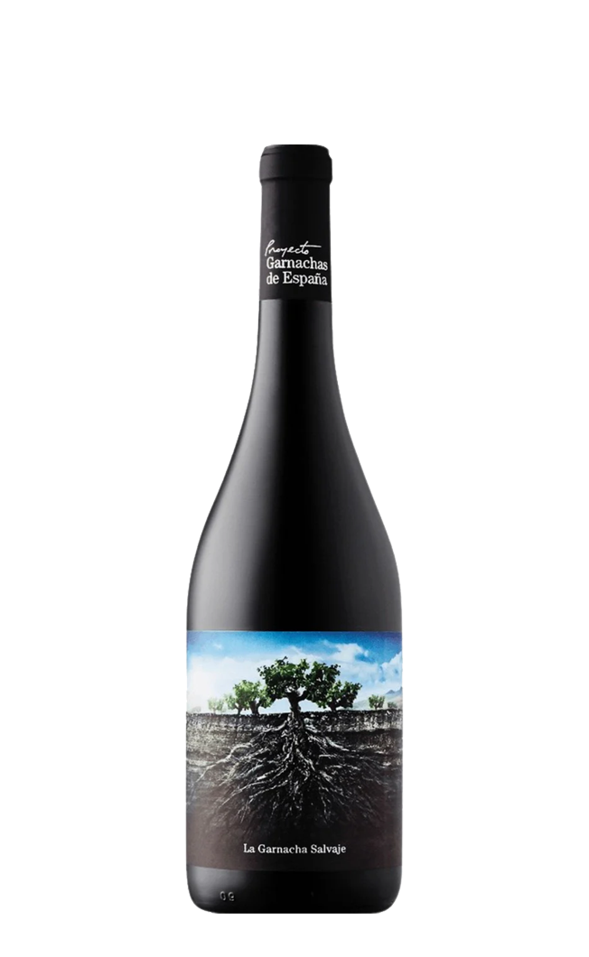 Proyecto Garnachas Salvaje del Moncayo 75CL - Compare prices in UAE