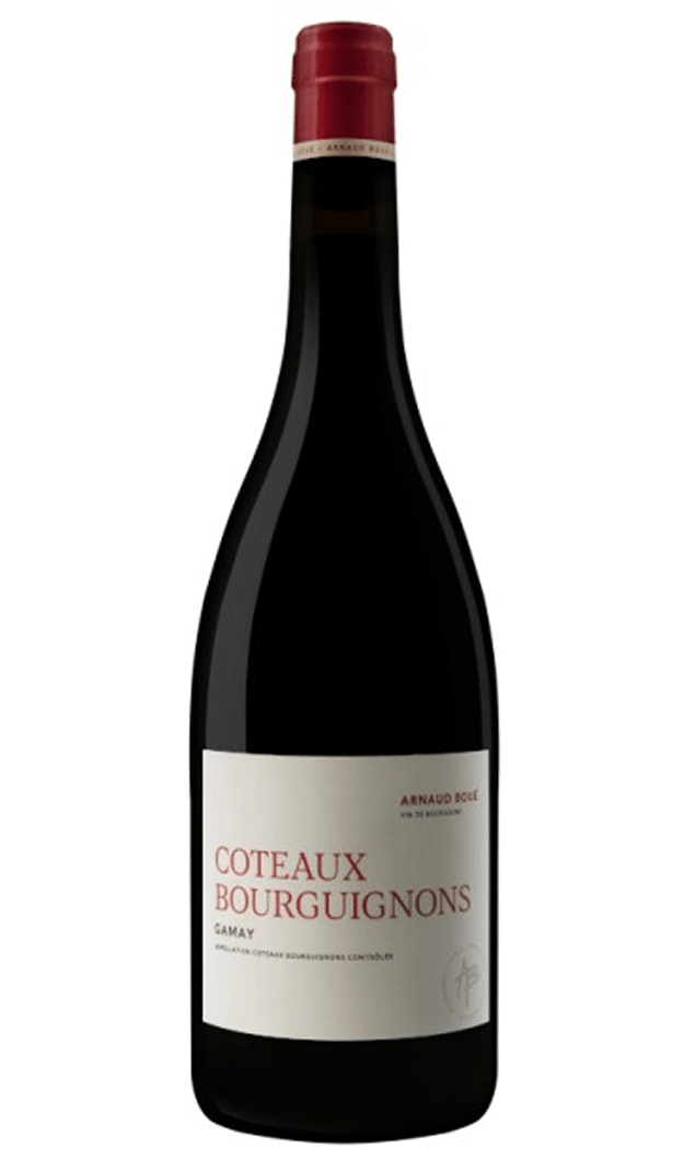 Coteaux Bourguignons Gamay Arnaud Boue 2021 75cl - Compare prices in UAE