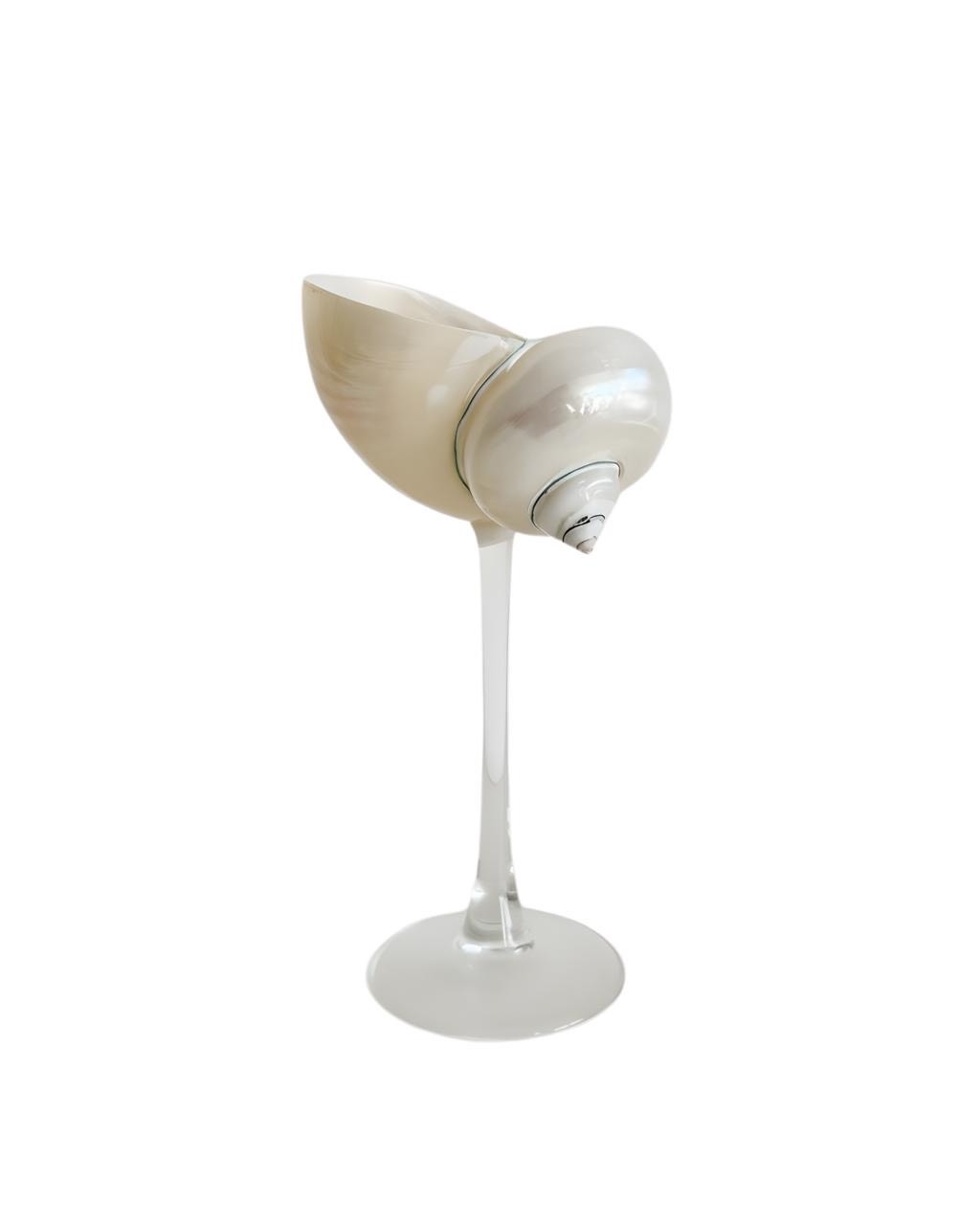 Pearl Seashell Glass With Clear Stem 10 CL x 2 - Compare prices in UAE