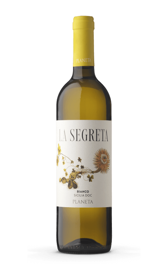 Planeta La Segreta White by planeta - Compare prices in UAE