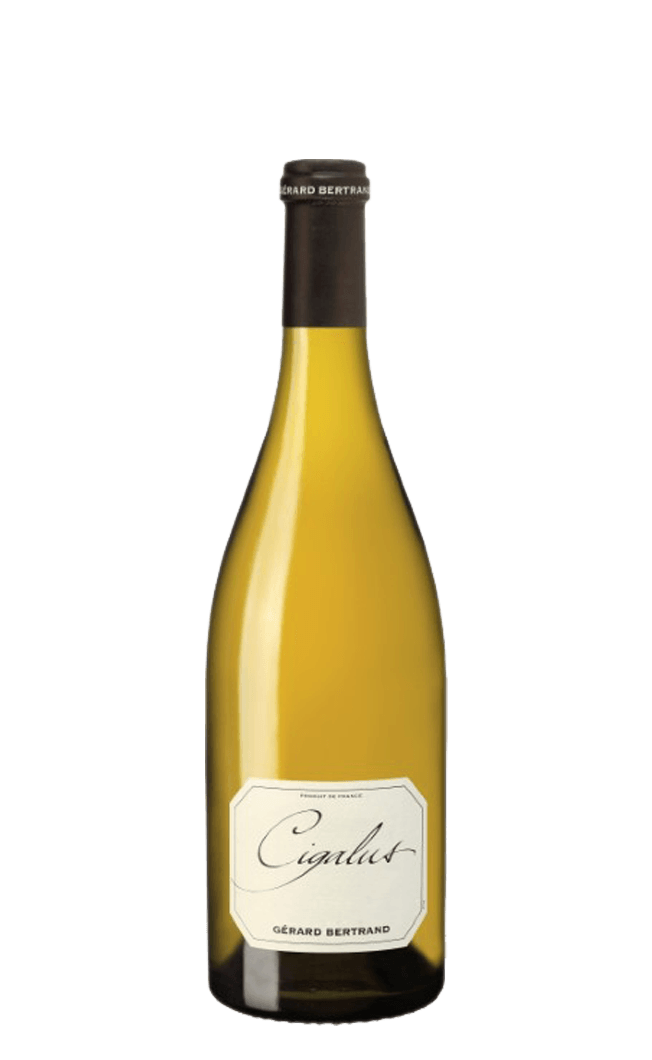 Cigalus Blanc - Compare prices in UAE