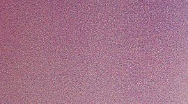 Aurora Haze Purple Multi