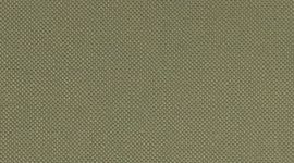 Bay Leaf/Sheer Oak