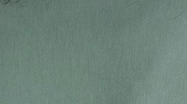 Tidewater Teal