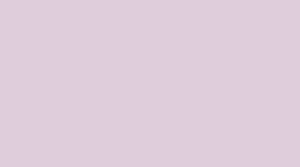 Pink Organza