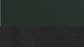 Rainforest Green/Black