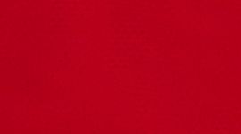 Dark Red/Dark Red