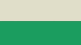 Raceway Green/Light Ivory