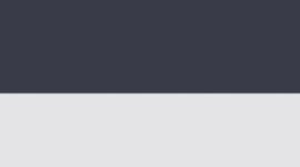 True Navy/White