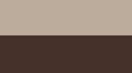 Warm Ash Grey/Sequoia