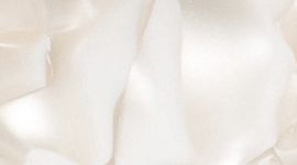 Light Ivory/White
