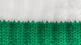 White/Raceway Green
