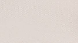 Light Ivory/Silver