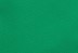 Raceway Green/Citra Lime