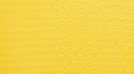 Maize Yellow/Maize Yellow
