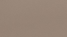 Warm Ash Grey/Silver