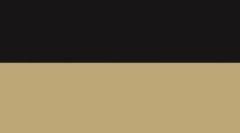 Black/Gold