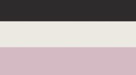 Black/Bone/Pink Organza