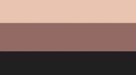 Black/Twilight Rose/Misty Shell