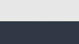 White/True Navy